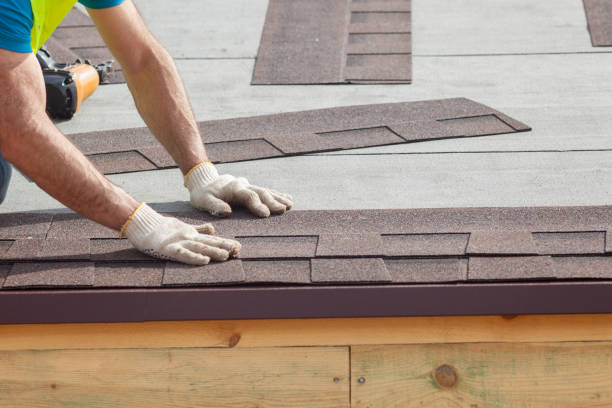 Best Skylight Installation and Repair  in Round Lake Beach, IL